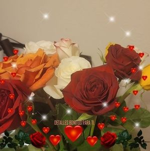 Meet your Posher, Karen